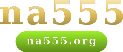 na555 logo